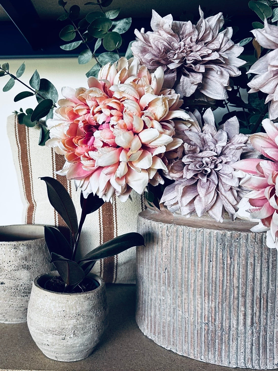 The Columnist | The Sienna Collection