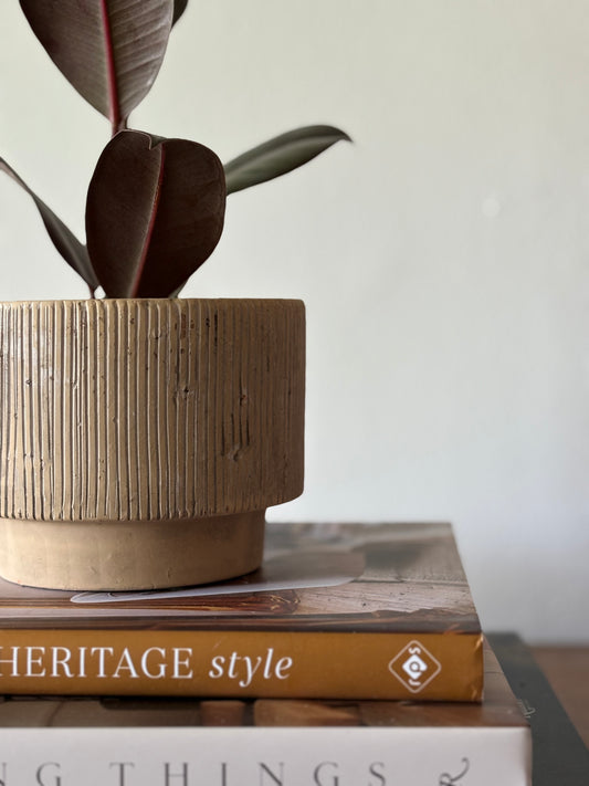 Small Stone Pot | The Margot Collection