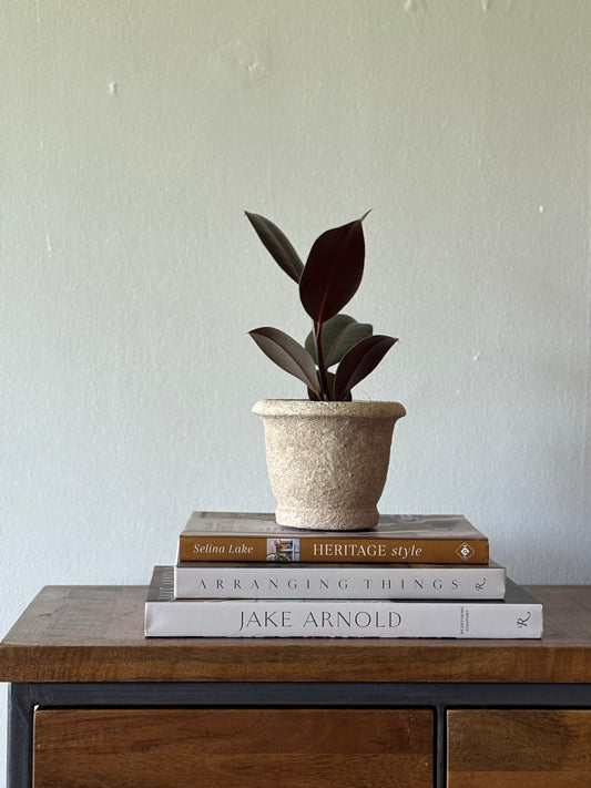 Clay Cement Planter | The Agnes Collection