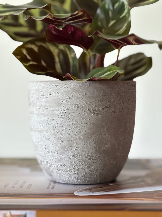 Small Stone Planter | Luxury Home Décor