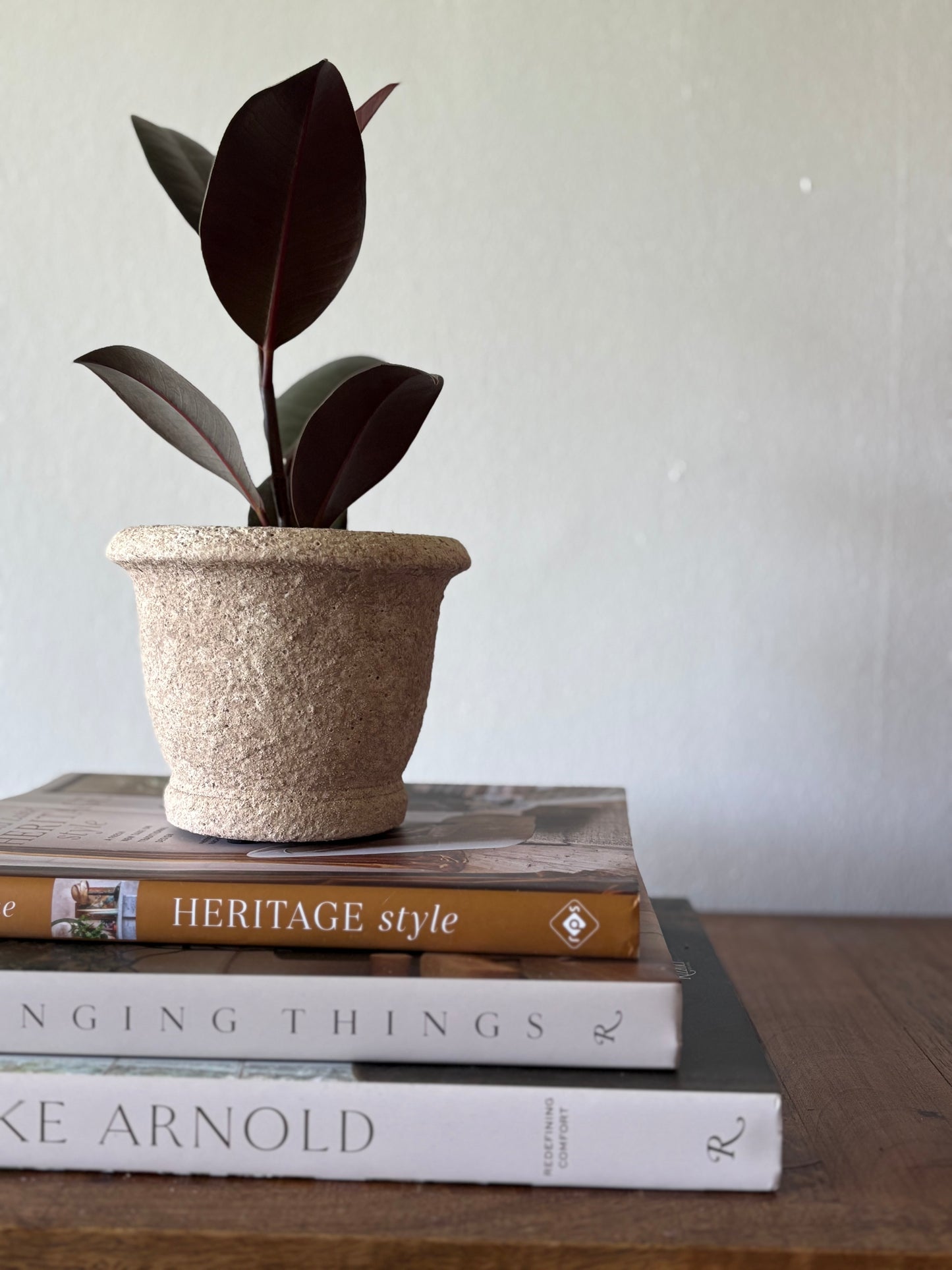 Clay Cement Planter | The Agnes Collection