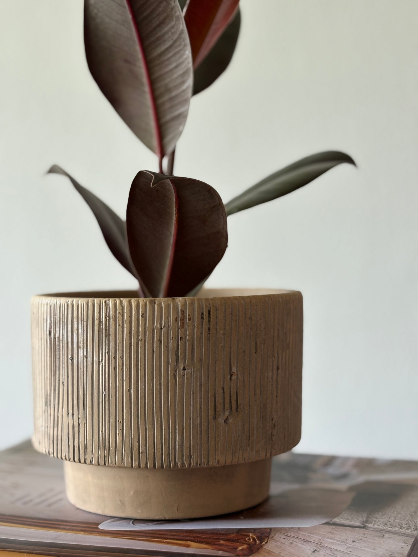 Small Stone Pot | The Margot Collection