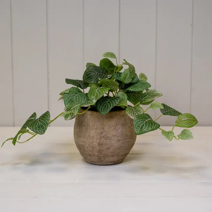 Small Cement Pot | The Edith Collection