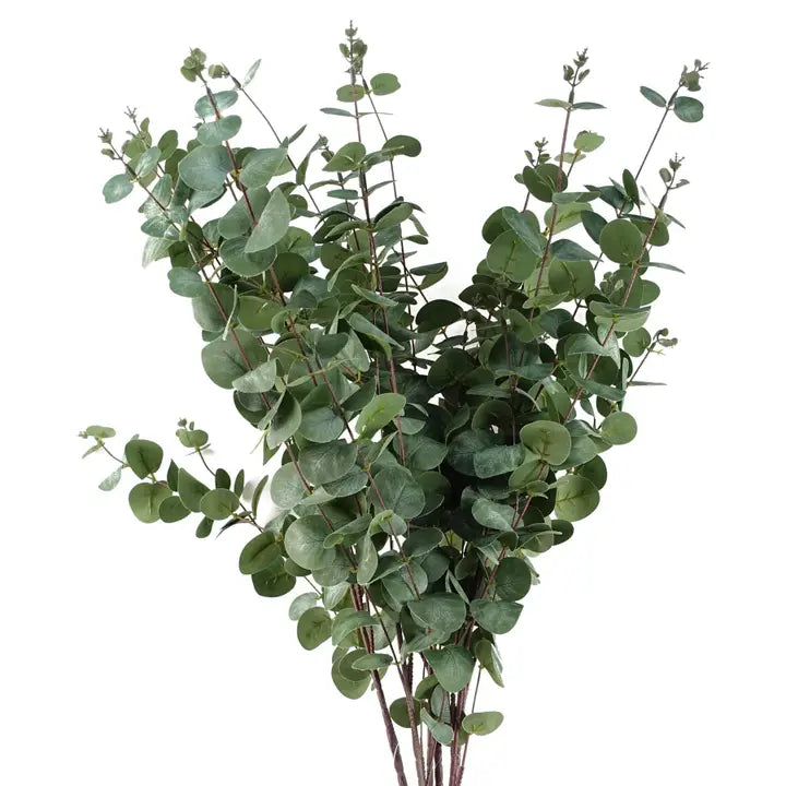 Eucalyptus Foliage