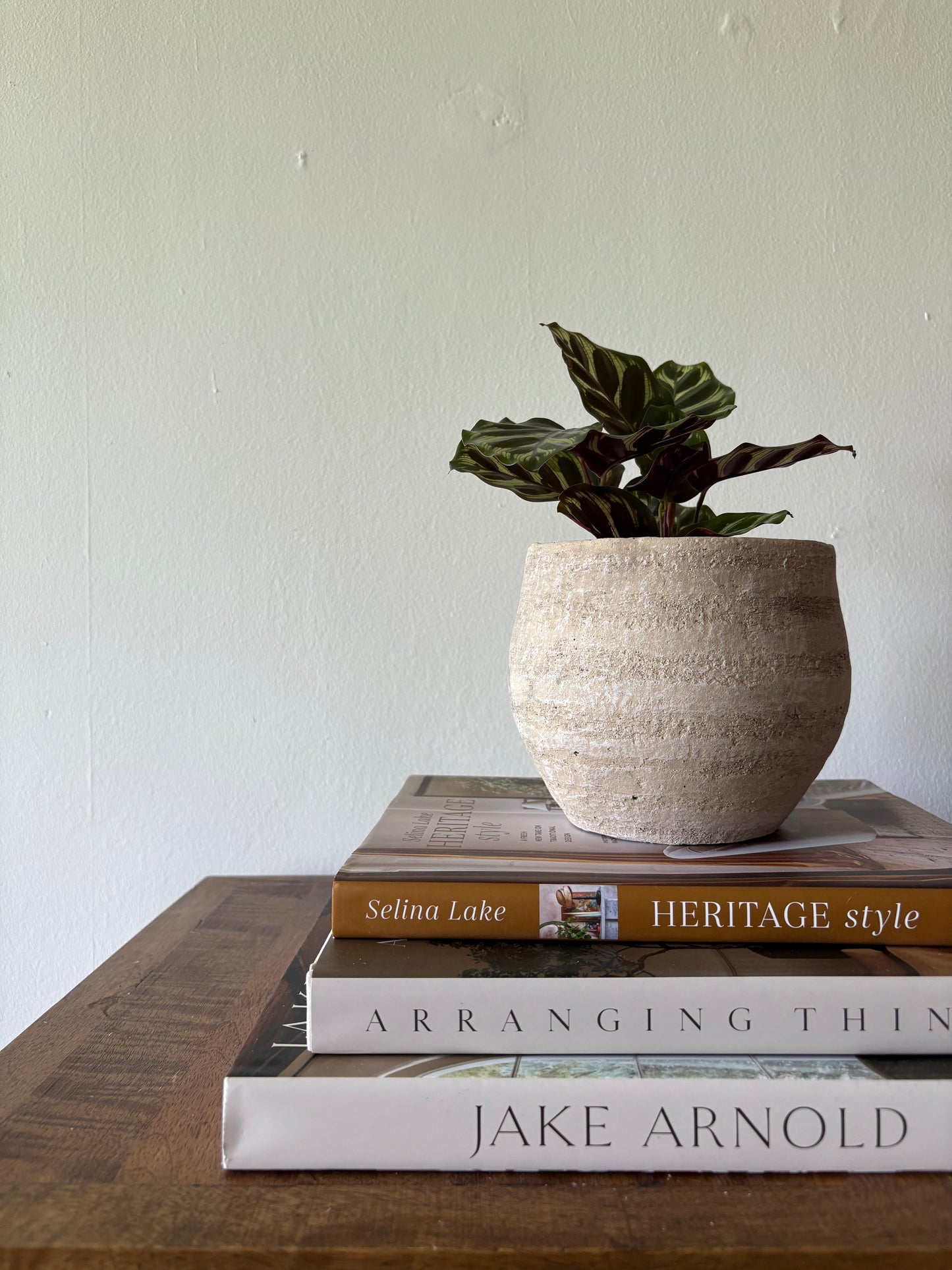 Medium Cement Pot | The Edith Collection