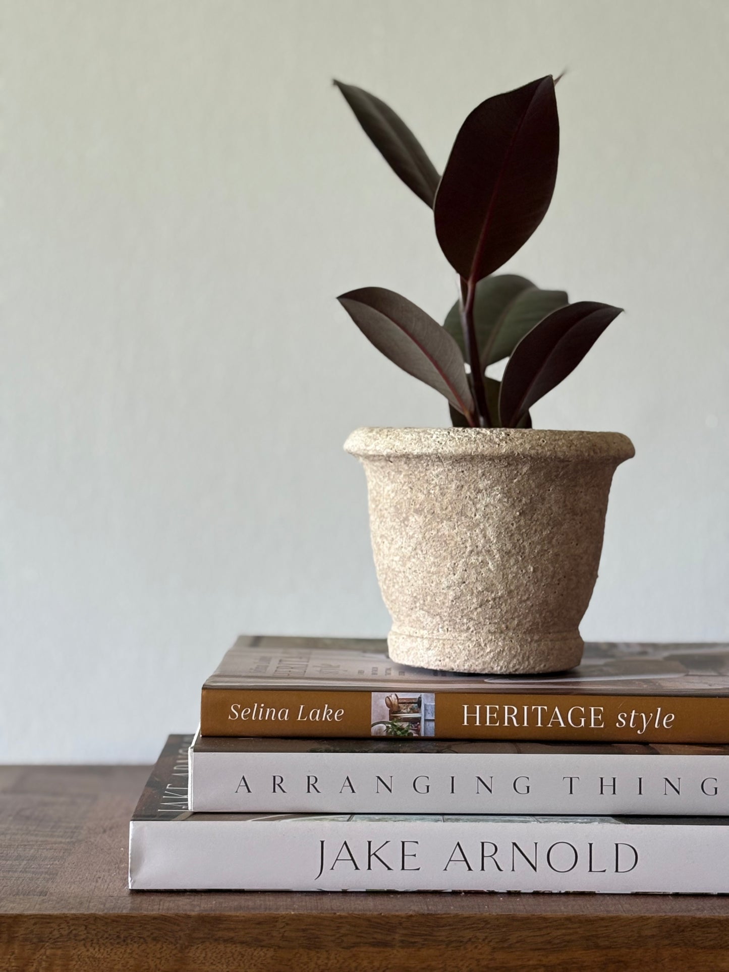 Clay Cement Planter | The Agnes Collection