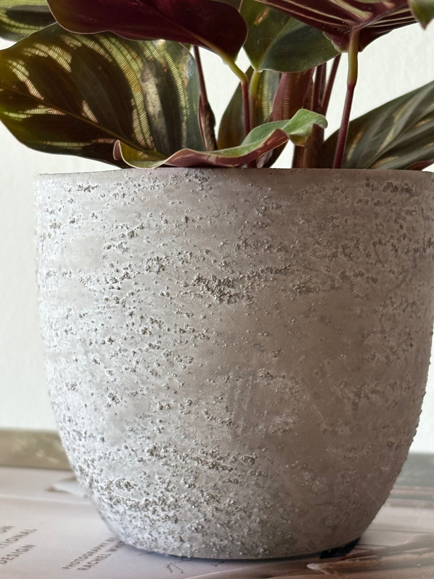 Small Stone Planter | Luxury Home Décor