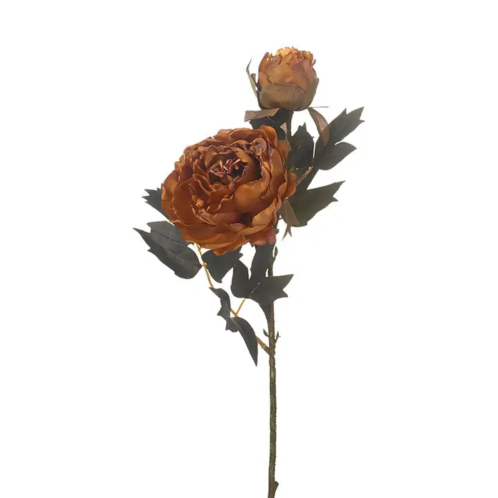 Rust Peony | Artificial Floral
