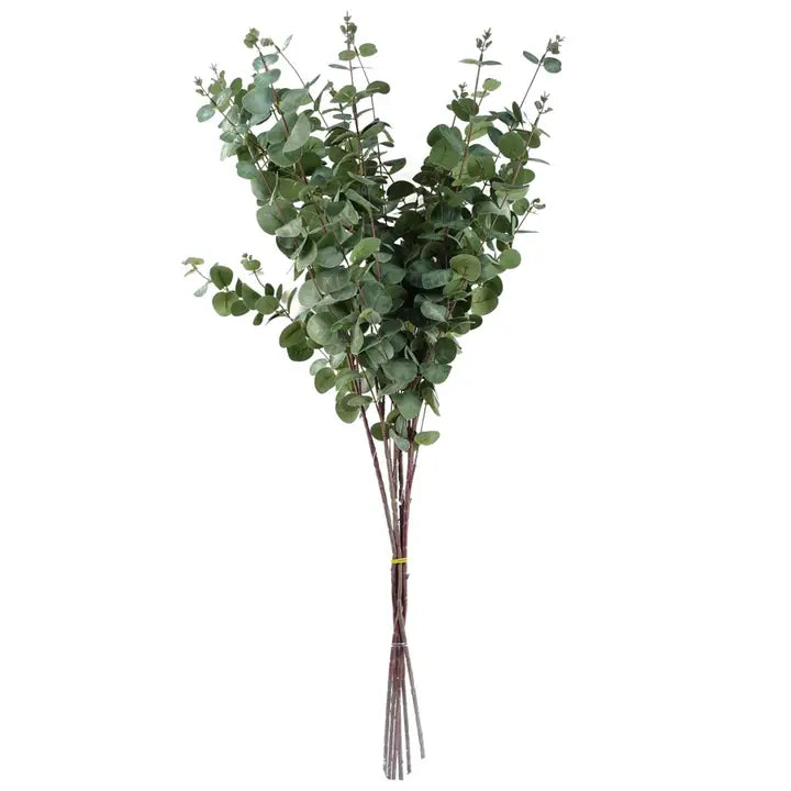Eucalyptus Foliage