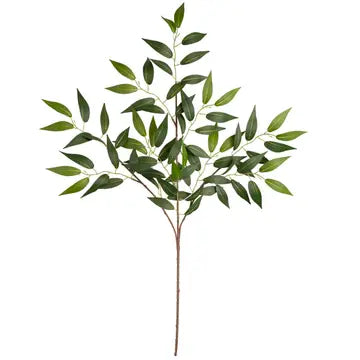 Ruscus Spray