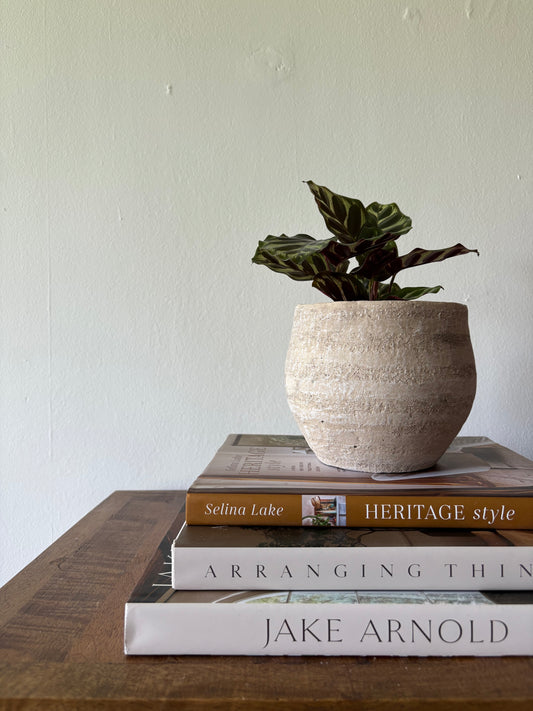 Medium Cement Pot | The Edith Collection