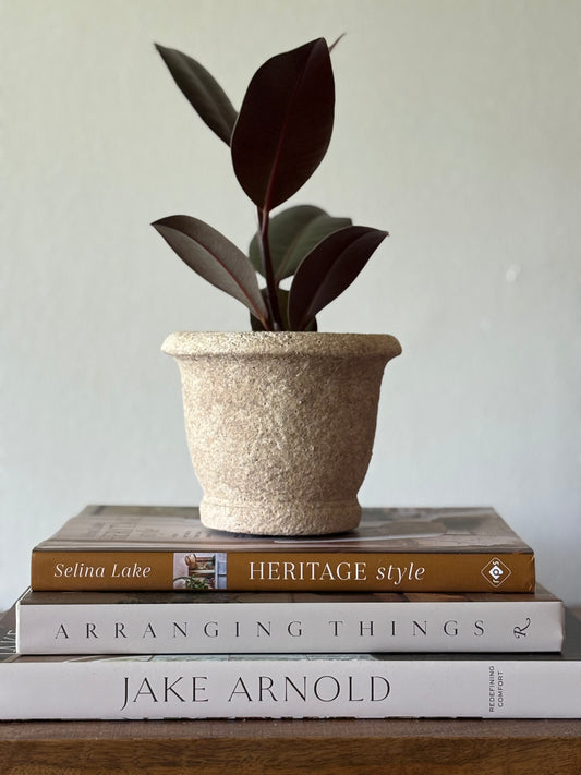 Clay Cement Planter | The Agnes Collection