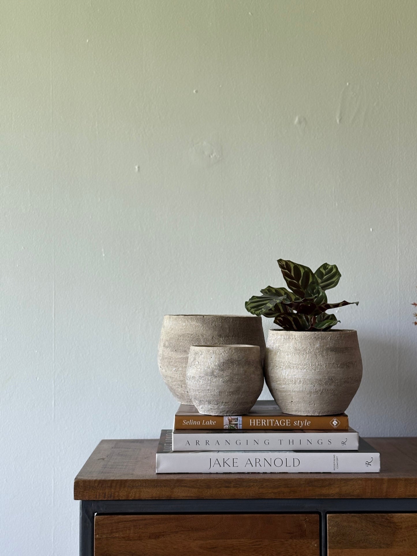 Large Cement Pot | The Edith Collection