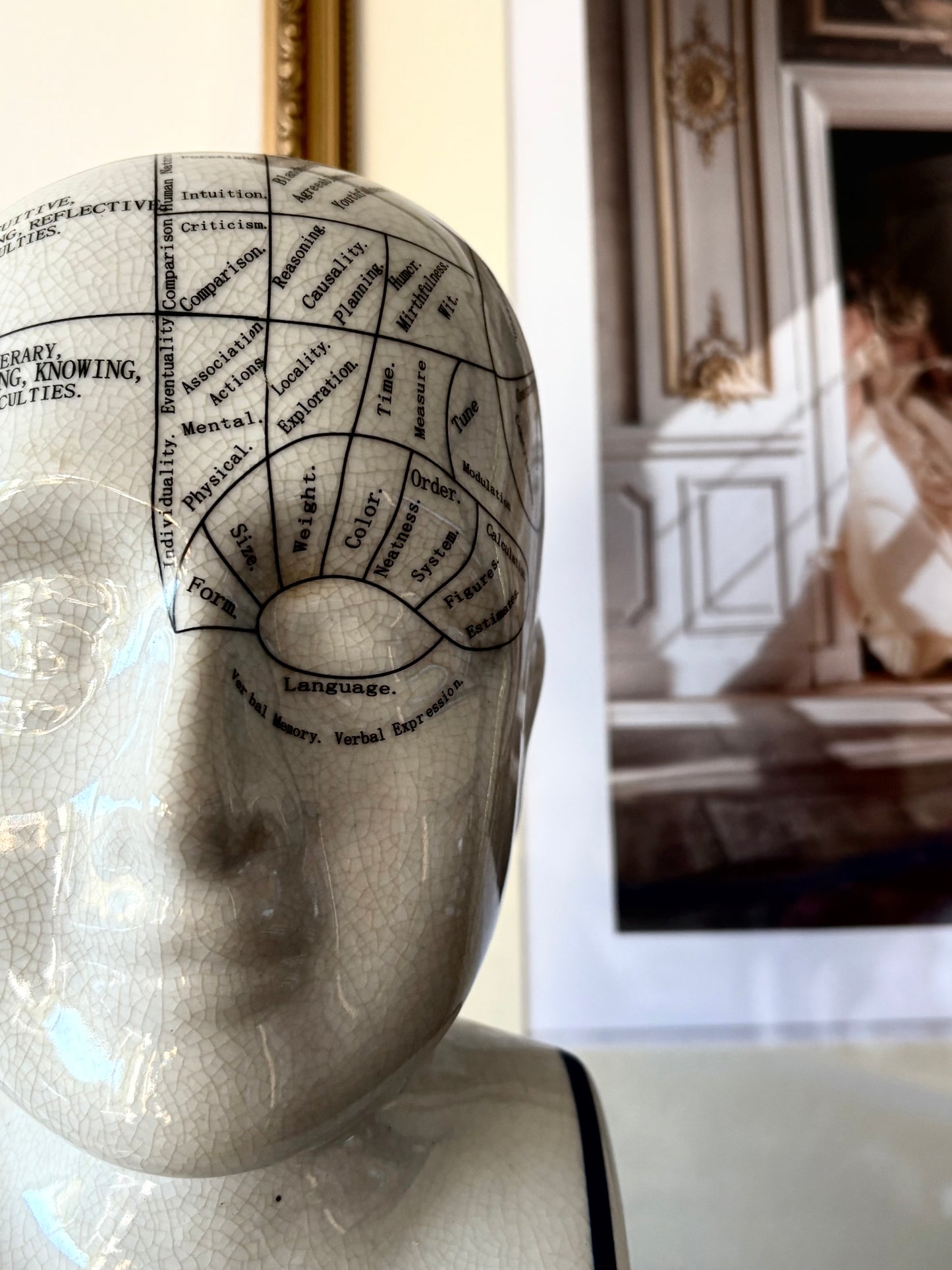 PreLoved Phrenology Head | Luxury Home Decor