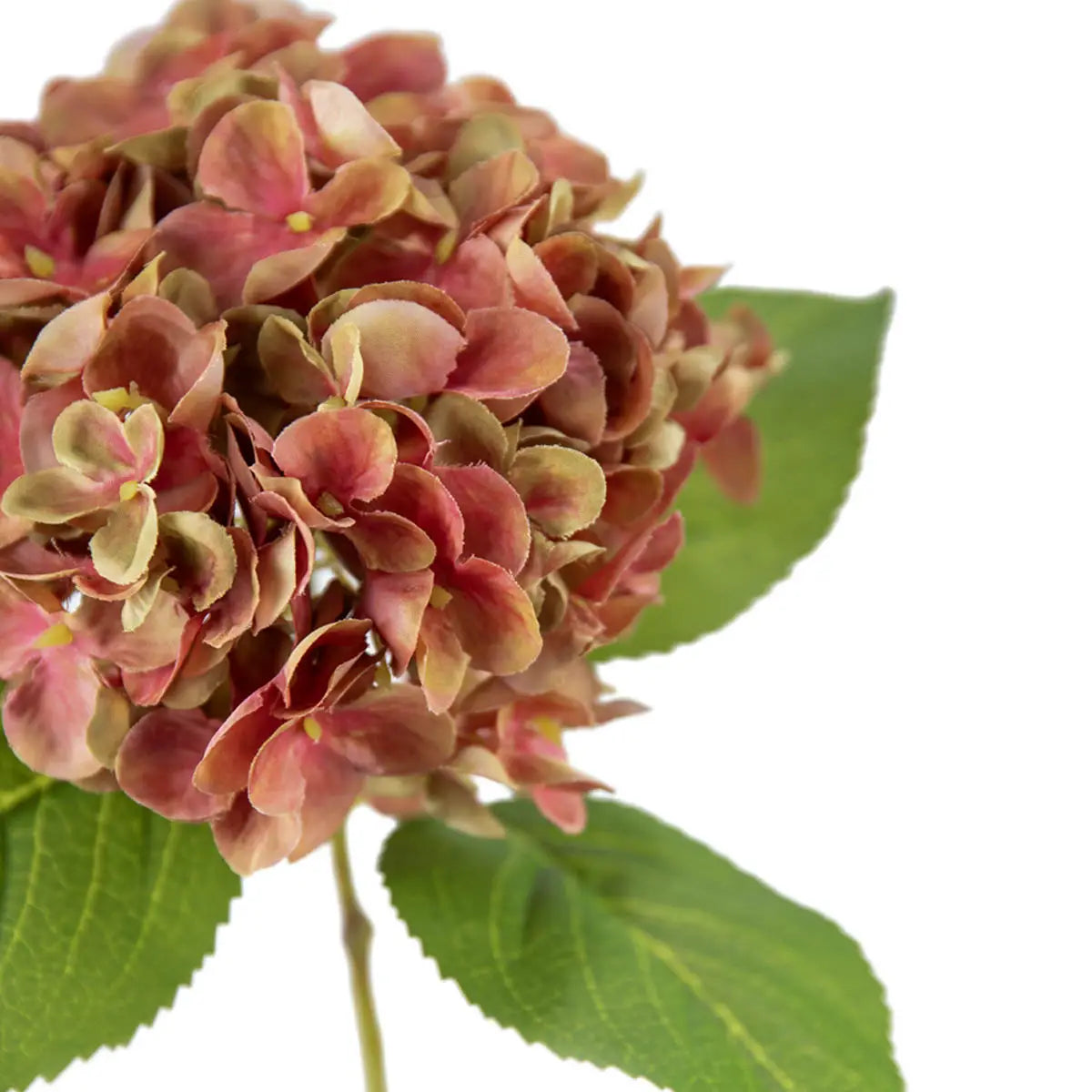 Bruised Blush Hydrangea | Artificial Floral